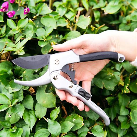 bonsai tree pruning shears|highest quality japanese bonsai tools.